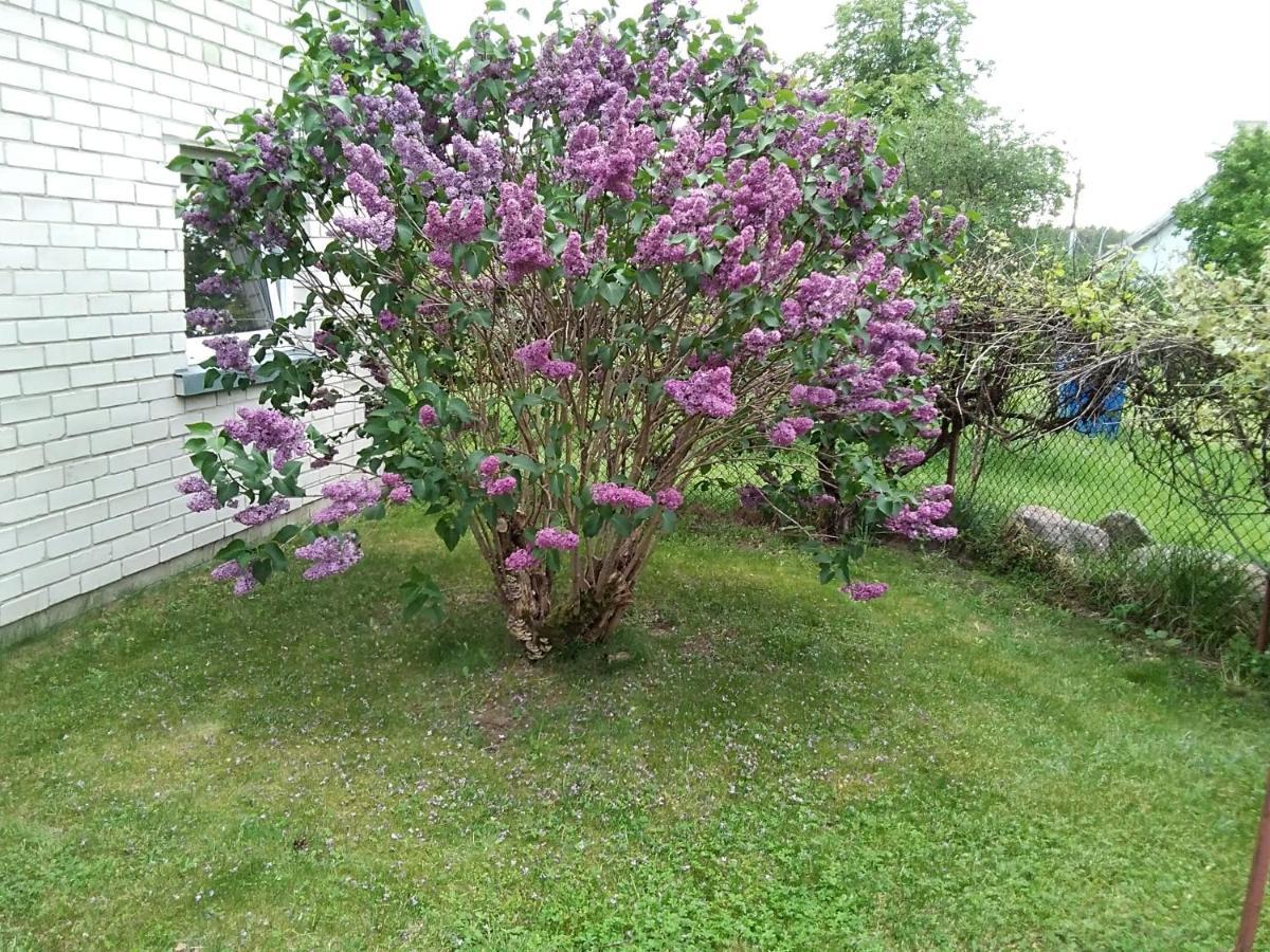 Merkines Viensodis Exteriör bild